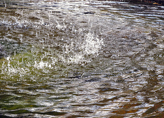 Image showing Falling Water Splatter