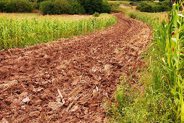 Image showing Plowed field