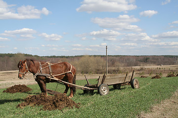 Image showing Rural landscape