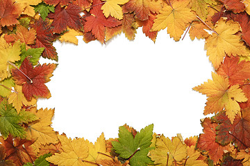 Image showing Frame of autumn leaves