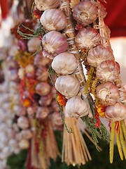 Image showing Garlic 