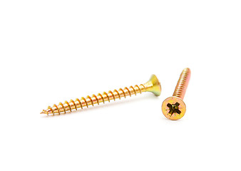 Image showing Two yellow screws