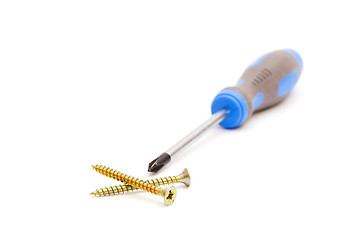 Image showing Screwdriver and yellow screws 