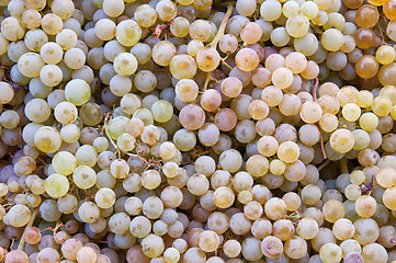 Image showing fresh grapes 