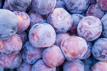 Image showing fresh plums 