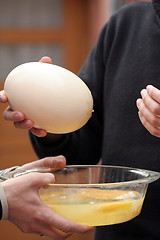 Image showing Ostrich egg