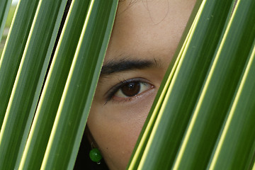 Image showing Eye of Asian beauty