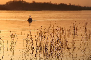 Image showing Sunset scene