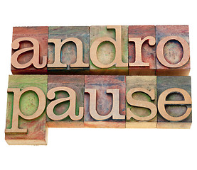 Image showing andropause word in letterpress type