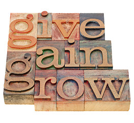 Image showing give, gain and grow