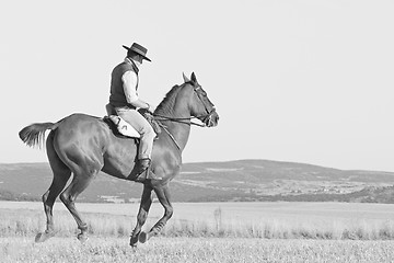 Image showing rider and his horse