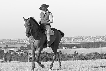 Image showing rider and his horse