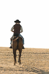 Image showing rider and his horse