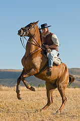 Image showing rider and his horse