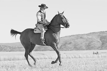 Image showing rider and his horse