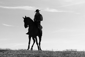 Image showing rider and his horse