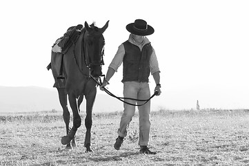 Image showing rider and his horse