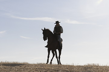 Image showing rider and his horse