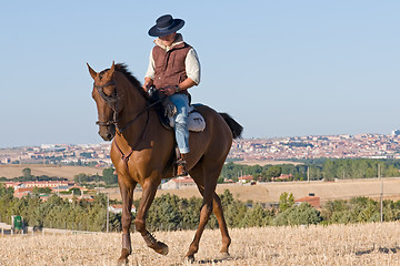 Image showing rider and his horse