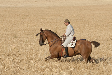 Image showing rider and his horse