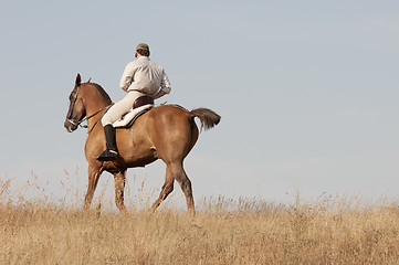 Image showing rider and his horse