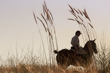 Image showing rider and his horse