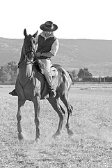 Image showing rider and his horse