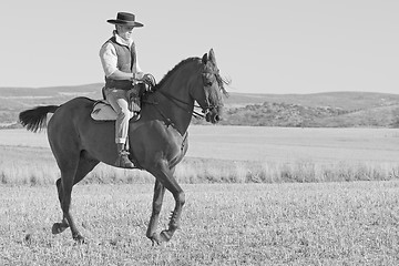 Image showing rider and his horse