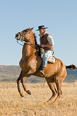 Image showing rider and his horse