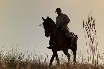 Image showing rider and his horse