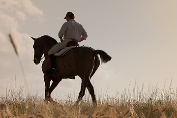 Image showing rider and his horse