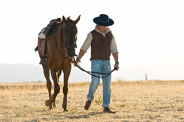 Image showing rider and his horse