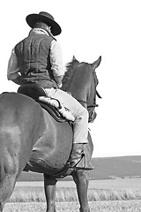 Image showing rider and his horse