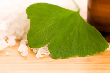 Image showing fresh leaves ginko biloba essential oil and sea salt - beauty tr