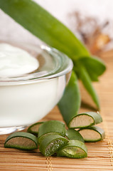 Image showing aloe vera - leaves and face cream