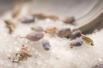 Image showing Lavender Sugar