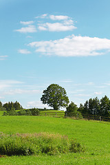 Image showing summer landscape