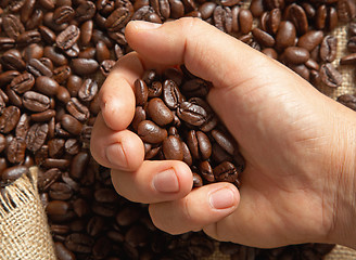 Image showing coffee beans