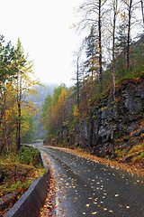 Image showing Autumn road