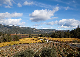 Image showing Napa Valley