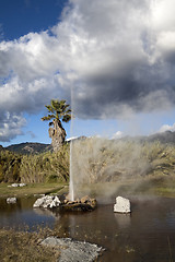 Image showing Geyser Pond