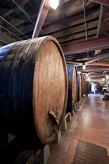 Image showing Large Wine Barrels