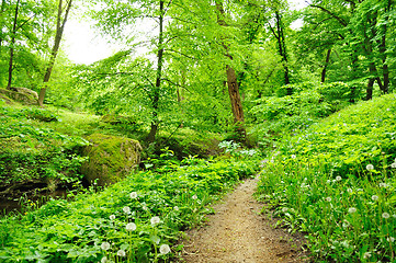 Image showing picturesque park avenue