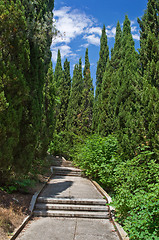 Image showing alley in an abandoned park 