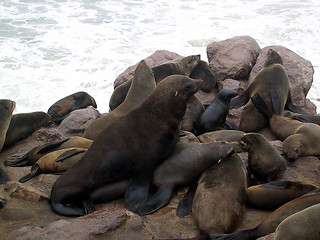 Image showing Mating seals