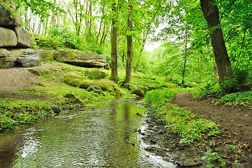 Image showing picturesque park 