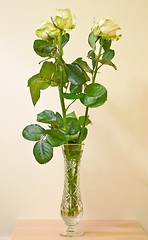 Image showing bouquet of fresh roses 