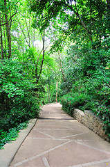 Image showing picturesque park avenue