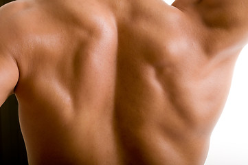 Image showing back and shoulder naked male body 