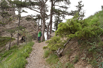 Image showing footpath in the picturesque mountains 